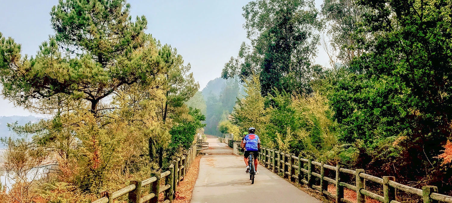 Fietser op de Atlantic Camino op een rustig bosrijk pad tussen Porto en Santiago