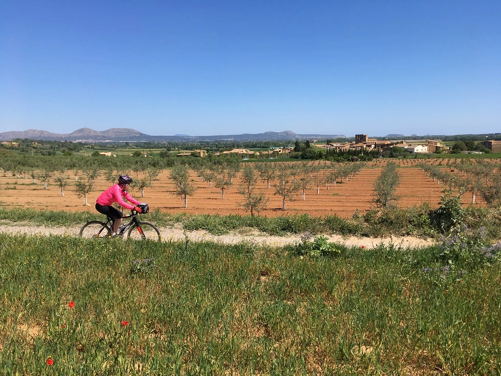 Gravelbiker rijdt over een landelijk pad langs olijfgaarden in de Empordà-regio van de Costa Brava, met bergen op de achtergrond.