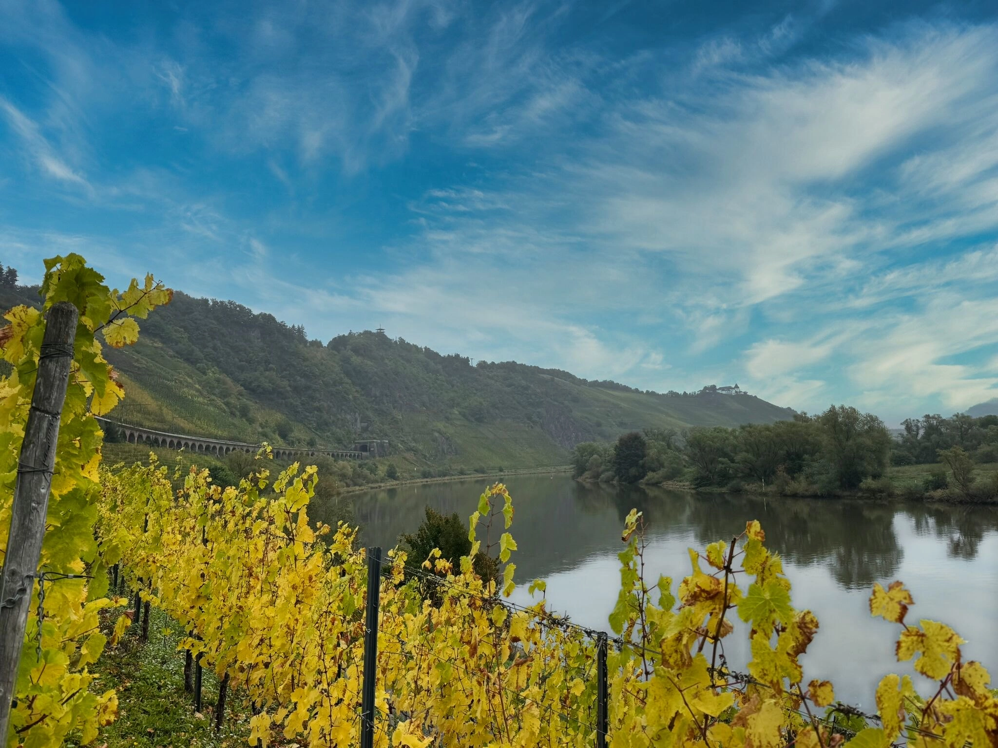 Uitgestrekte Riesling-wijnhellingen langs de Moezel in herfstkleuren – sfeervol wijnlandschap langs de route van de fiets- en vaarvakantie