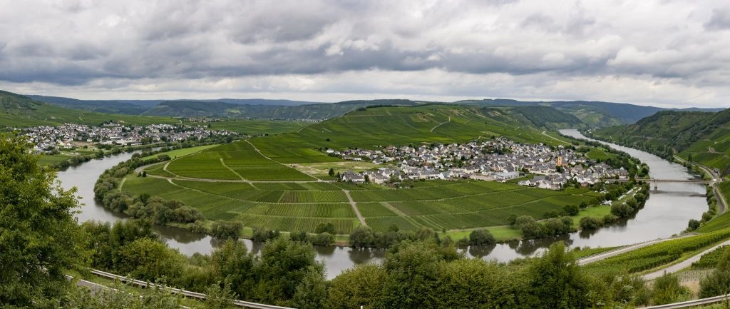 Panoramisch uitzicht over een Moselschleife met uitgestrekte wijngaarden en rivierlandschap
