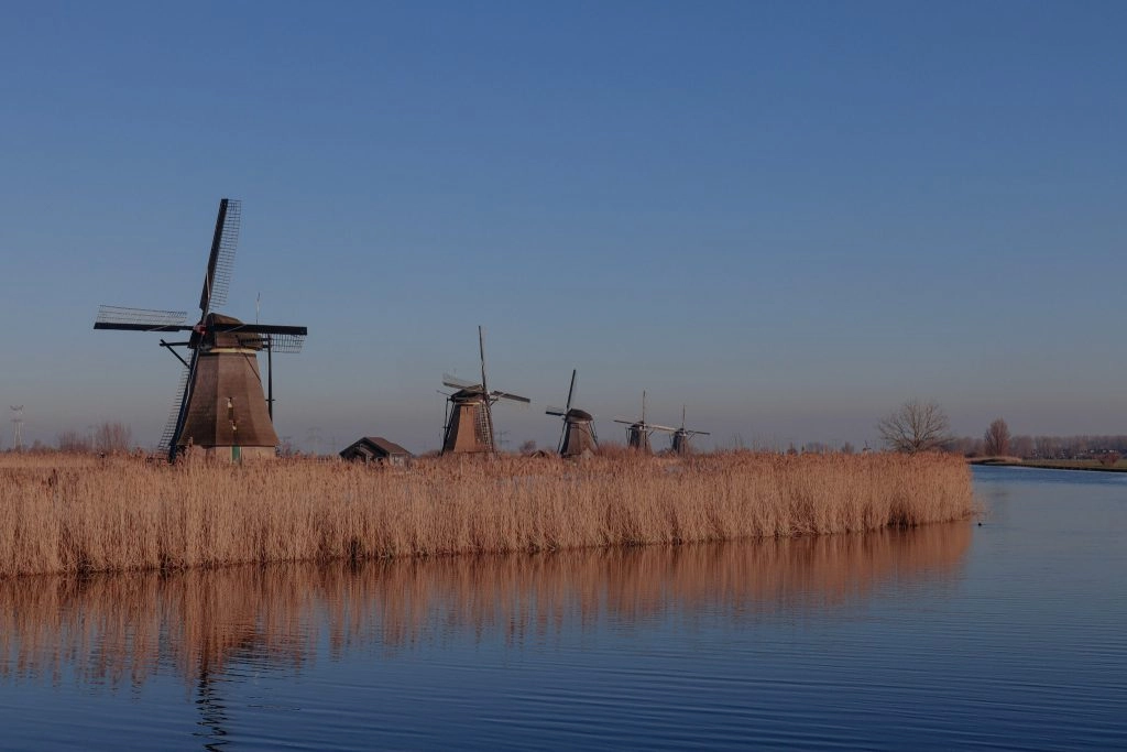 Typisch Nederlands landschap met molens en water, een hoogtepunt tijdens een fietsvakantie in Nederland met Travel2Move