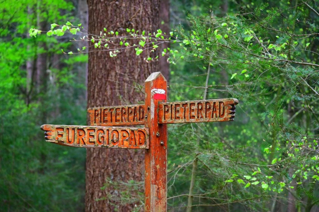 Houten bord met de routeaanduiding Pieterpad in een groen bos – startpunt voor een avontuurlijke fietsvakantie in Nederland