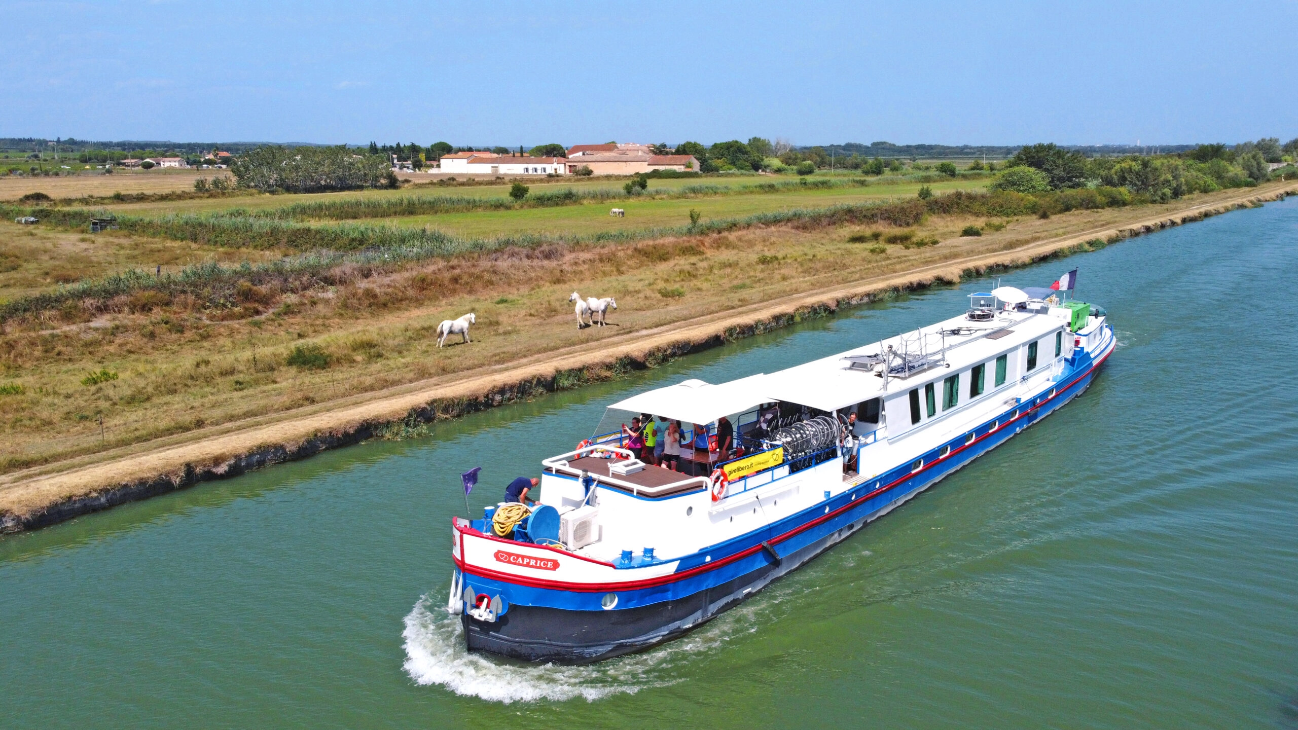 River cruise ship Caprice sailing through a canal in the Camargue while white horses graze along the riverbank