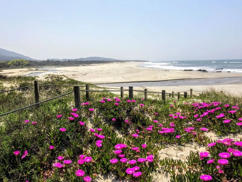 Strand en duinen langs de Atlantische kust tijdens fietsvakantie van Porto naar Santiago de Compostela