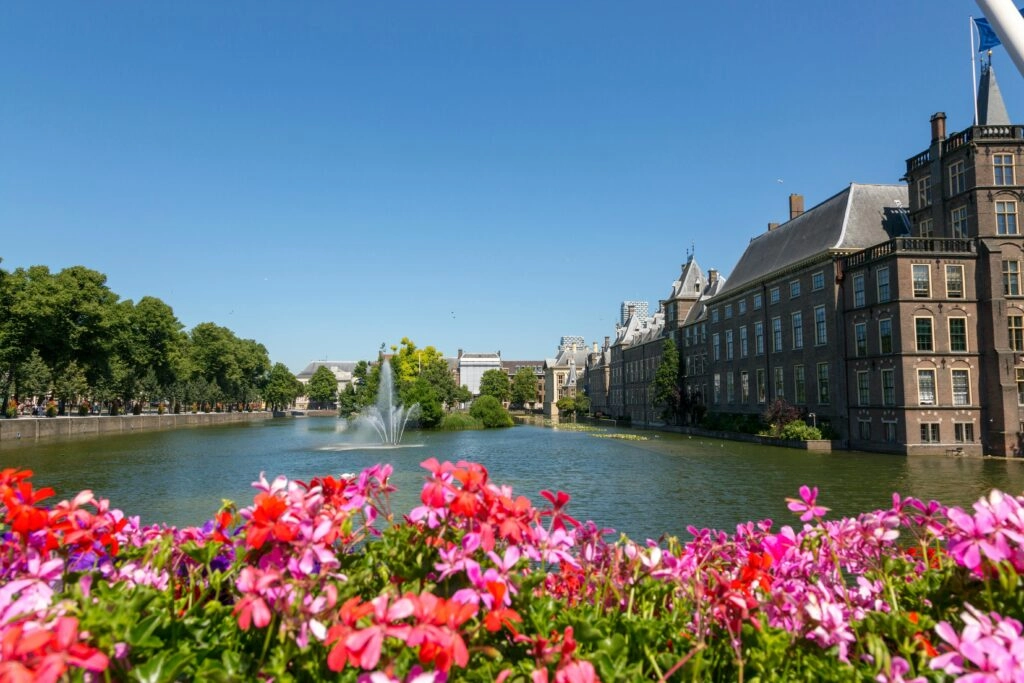 Binnenhof en Hofvijver Den Haag met bloemen op de voorgrond – bezienswaardigheden