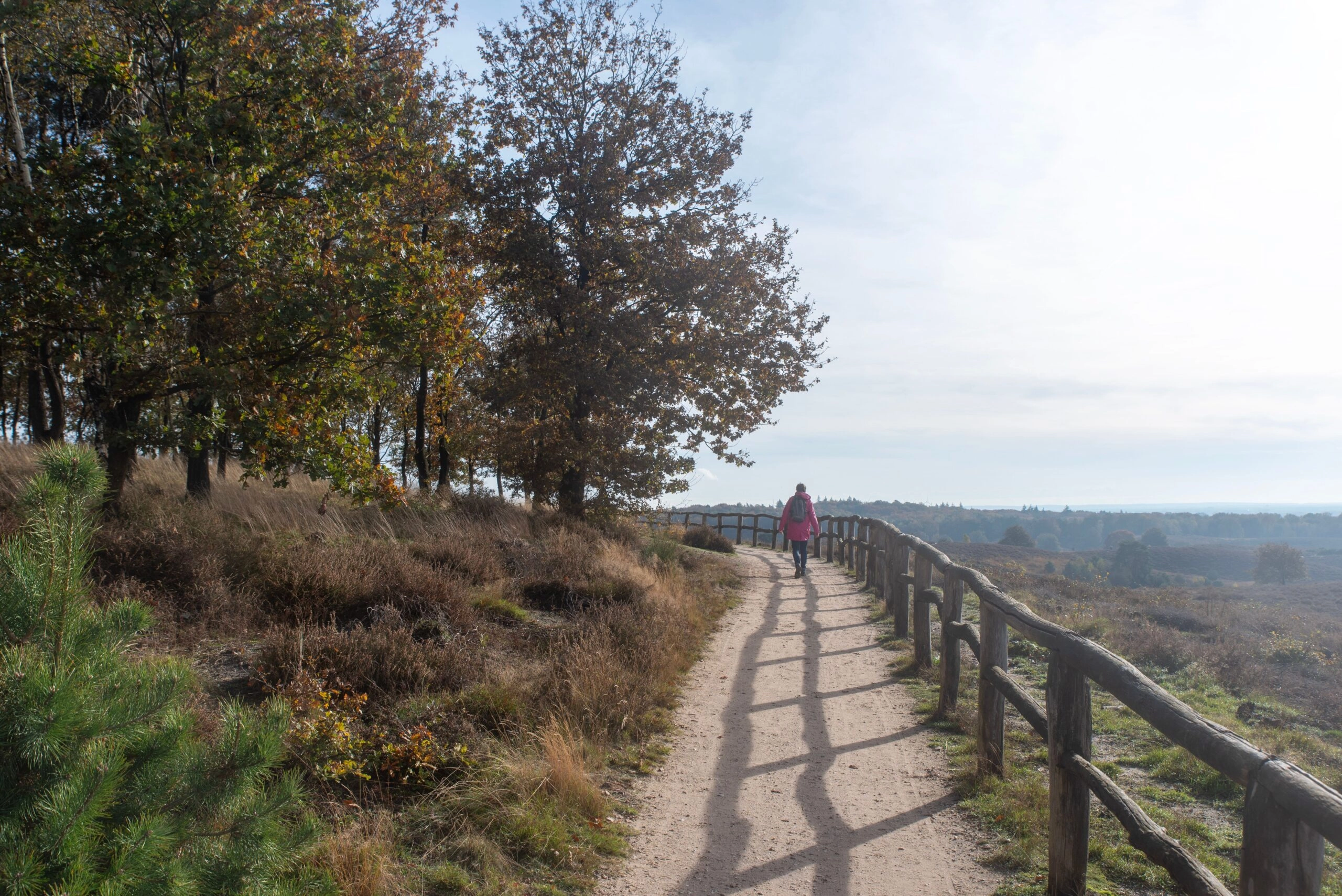 Wandelreis Pieterpad Sallandse heuvelrug